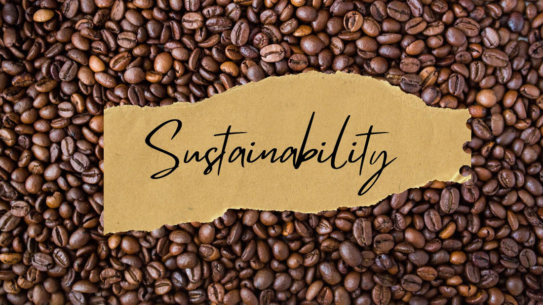 Torn piece of paper with 'sustainability' written on it, lying on a background of roasted coffee beans.