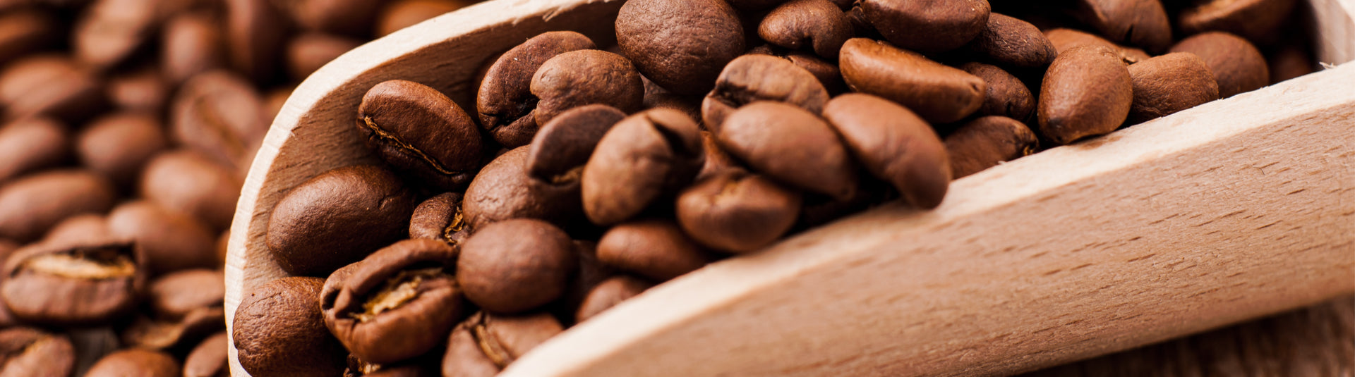 Roasted Coffee